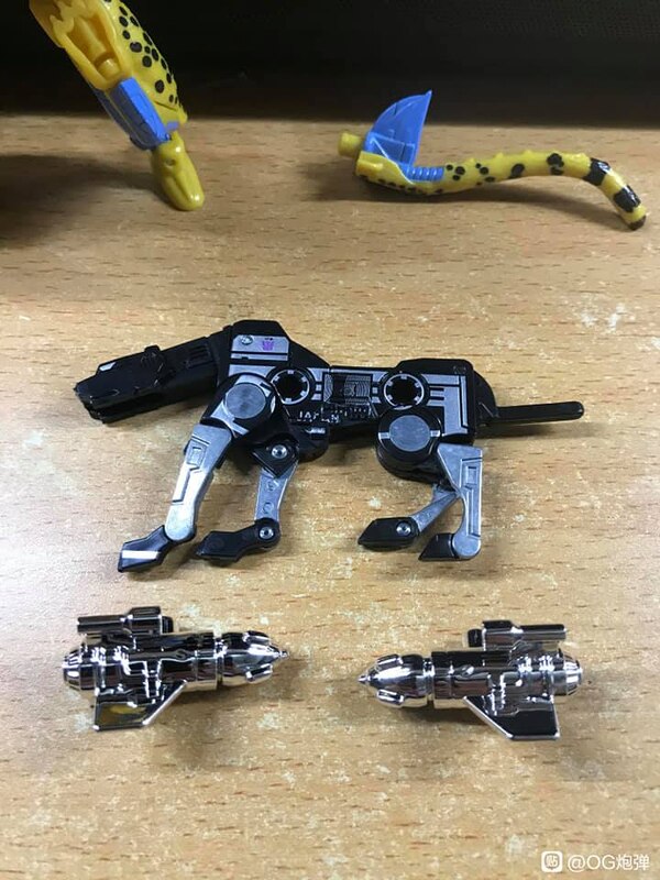 MORE Transformers Agent Ravage Images Cheetor Compared  (37 of 67)